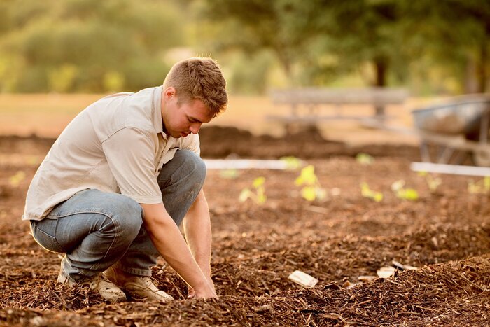 Regeneration: Planting Seeds of Gospel